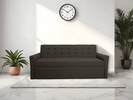 Zenith Sofa Cum Bed in Dark Grey